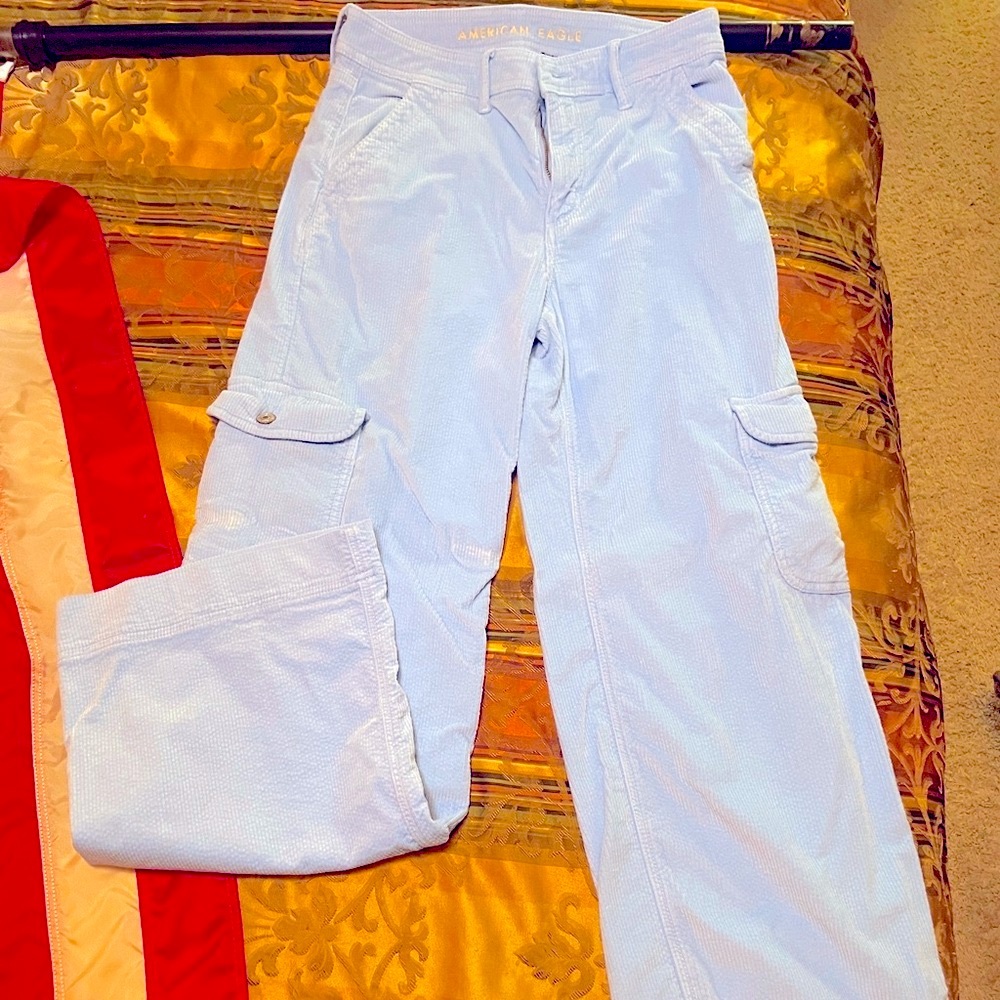 Baby blue corduroy wide leg pants